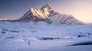 Kunstfotografie-Knigliche-Berglandschaft-Sd-Georgien-einsamer-Pinguin--by-Andre-Bergmann