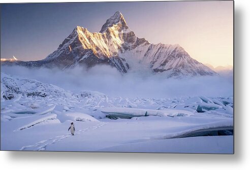 Bild 1 von Kunstfotografie Königliche Berglandschaft Süd Georgien einsamer Pinguin  by Andre Bergmann