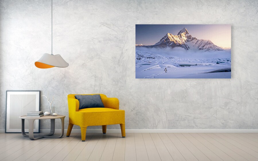 Bild 1 von Kunstfotografie Königliche Berglandschaft Süd Georgien einsamer Pinguin  by Andre Bergmann