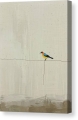 Bild 2 von Minimalismus Abstrakt einsamer bunter Vogel Edition of 50  / (Größe) 50x70 cm Leinwand gespiegelt