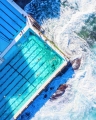 Bild 1 von Art Drop Sydney Pool 02 by Felix von Altersheim