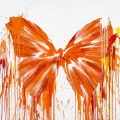 Bild 1 von Orange - Splash Schmetterling  / (Größe) 100 cm x 100  cm Acrylglas 