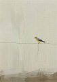 Bild 1 von Minimalismus Abstrakt einsamer bunter Vogel Edition of 50  / (Größe) 50x70 cm Leinwand gespiegelt